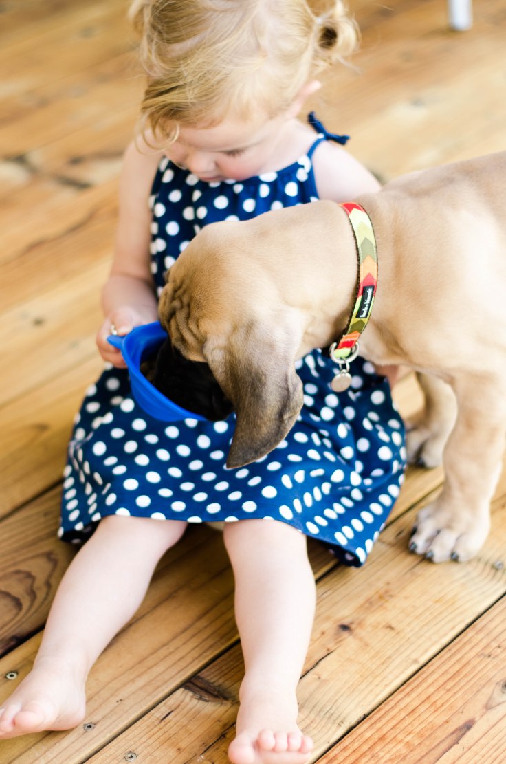 DSC_8848LIGHTROOM (1)